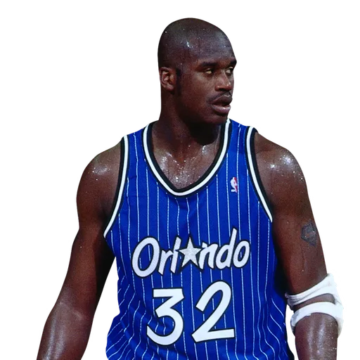 Shaquille O'Neal portrait