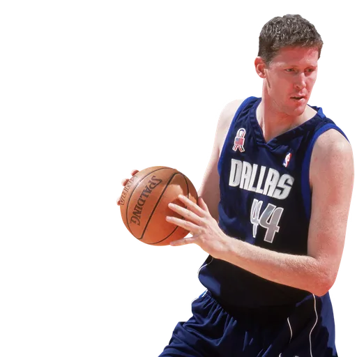 Shawn Bradley portrait