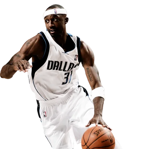 Jason Terry portrait