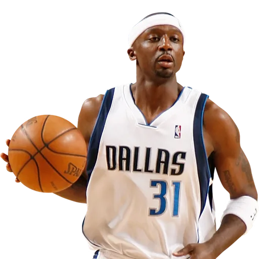 Jason Terry portrait
