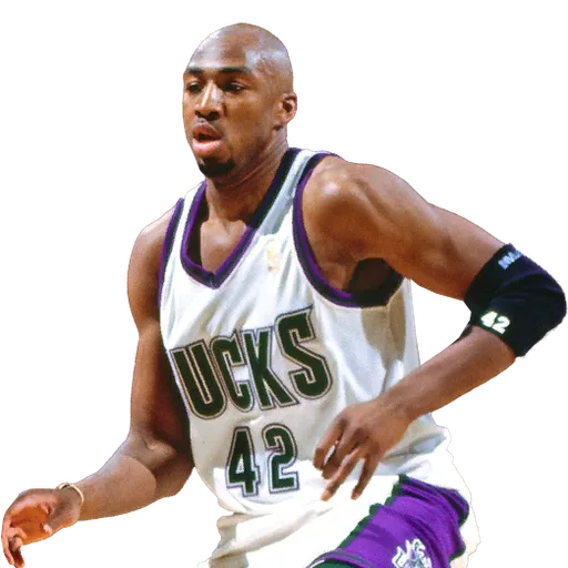 Vin Baker portrait