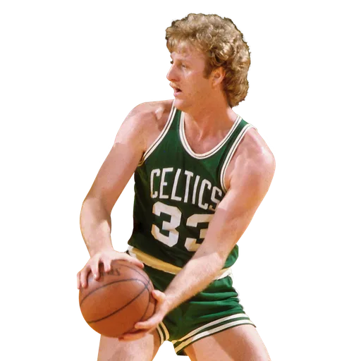 Larry Bird portrait