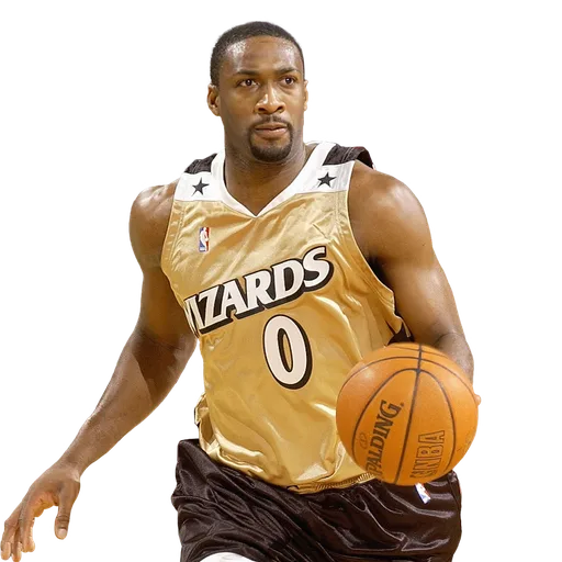 Gilbert Arenas portrait