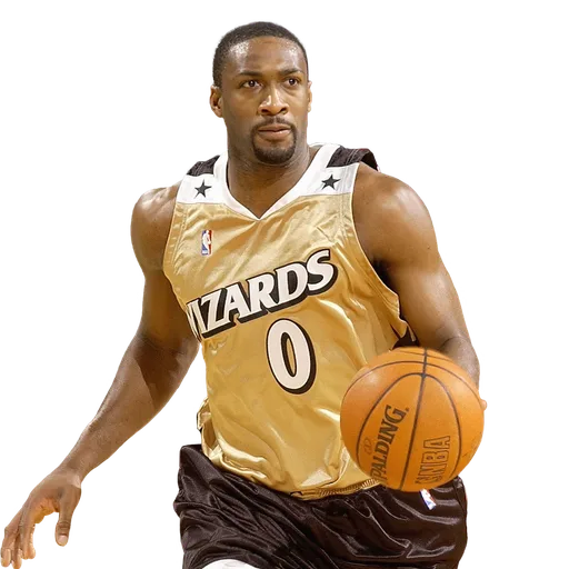 Gilbert Arenas portrait