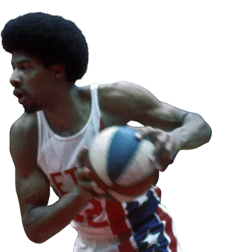 Julius Erving portrait