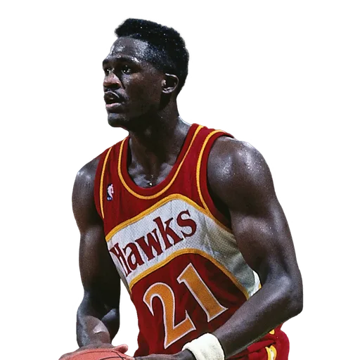 Dominique Wilkins portrait