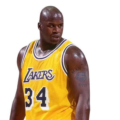 Shaquille O'Neal portrait