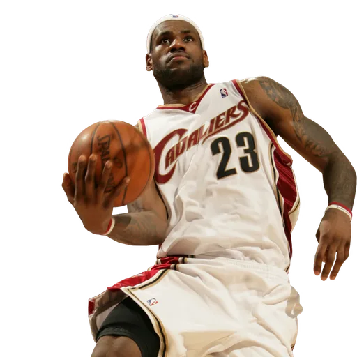 LeBron James portrait