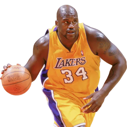 Shaquille O'Neal portrait