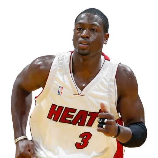 Dwyane Wade portrait