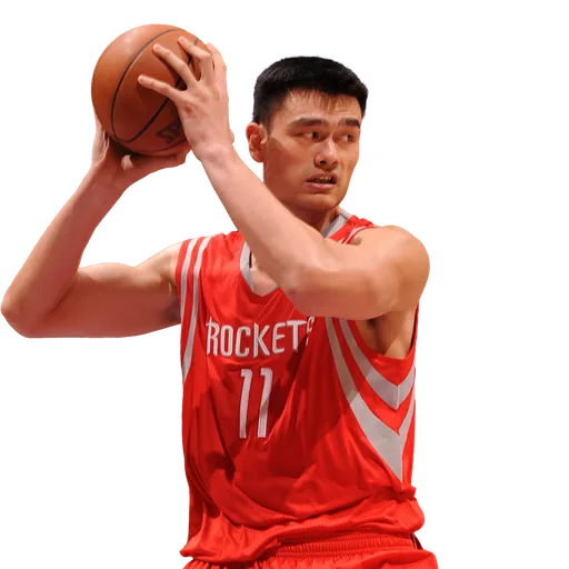 Ming Yao portrait