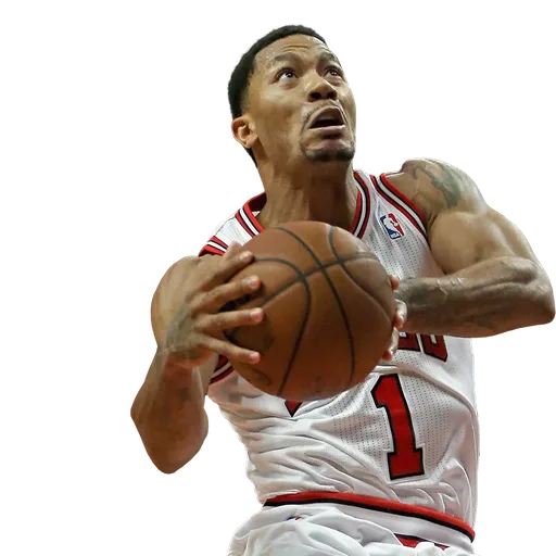 Derrick Rose portrait