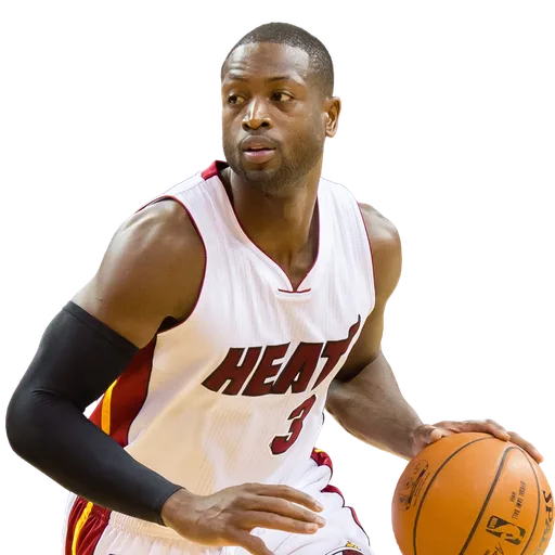 Dwyane Wade portrait