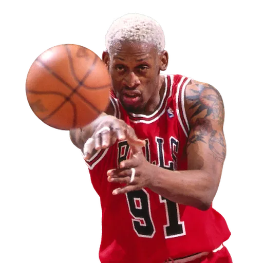 Dennis Rodman portrait