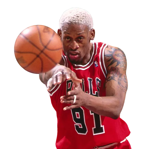 Dennis Rodman portrait
