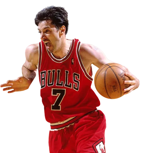 Toni Kukoc portrait
