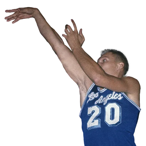 Don Nelson portrait