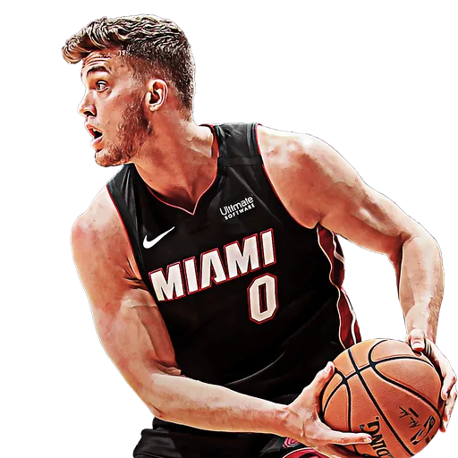 Meyers Leonard portrait