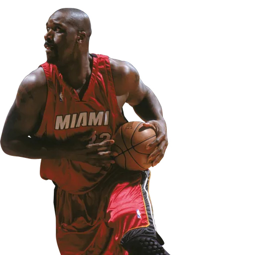 Shaquille O'Neal portrait