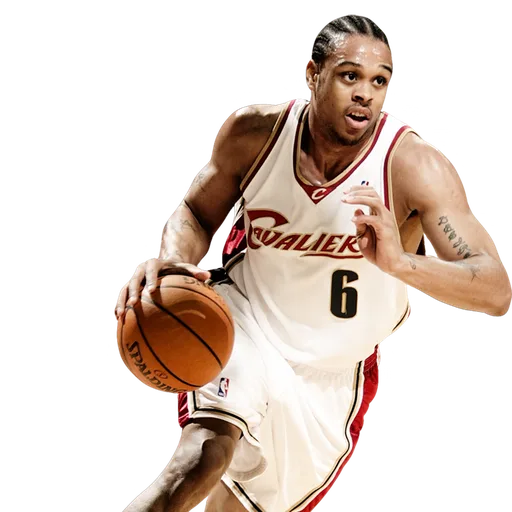 Shannon Brown portrait