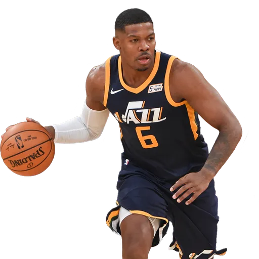 Joe Johnson portrait