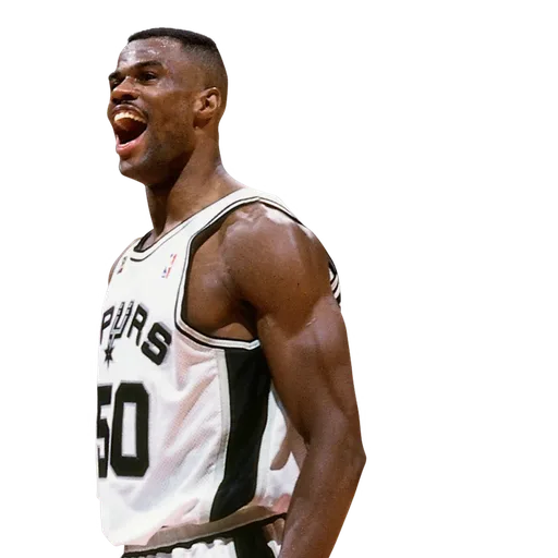 David Robinson portrait